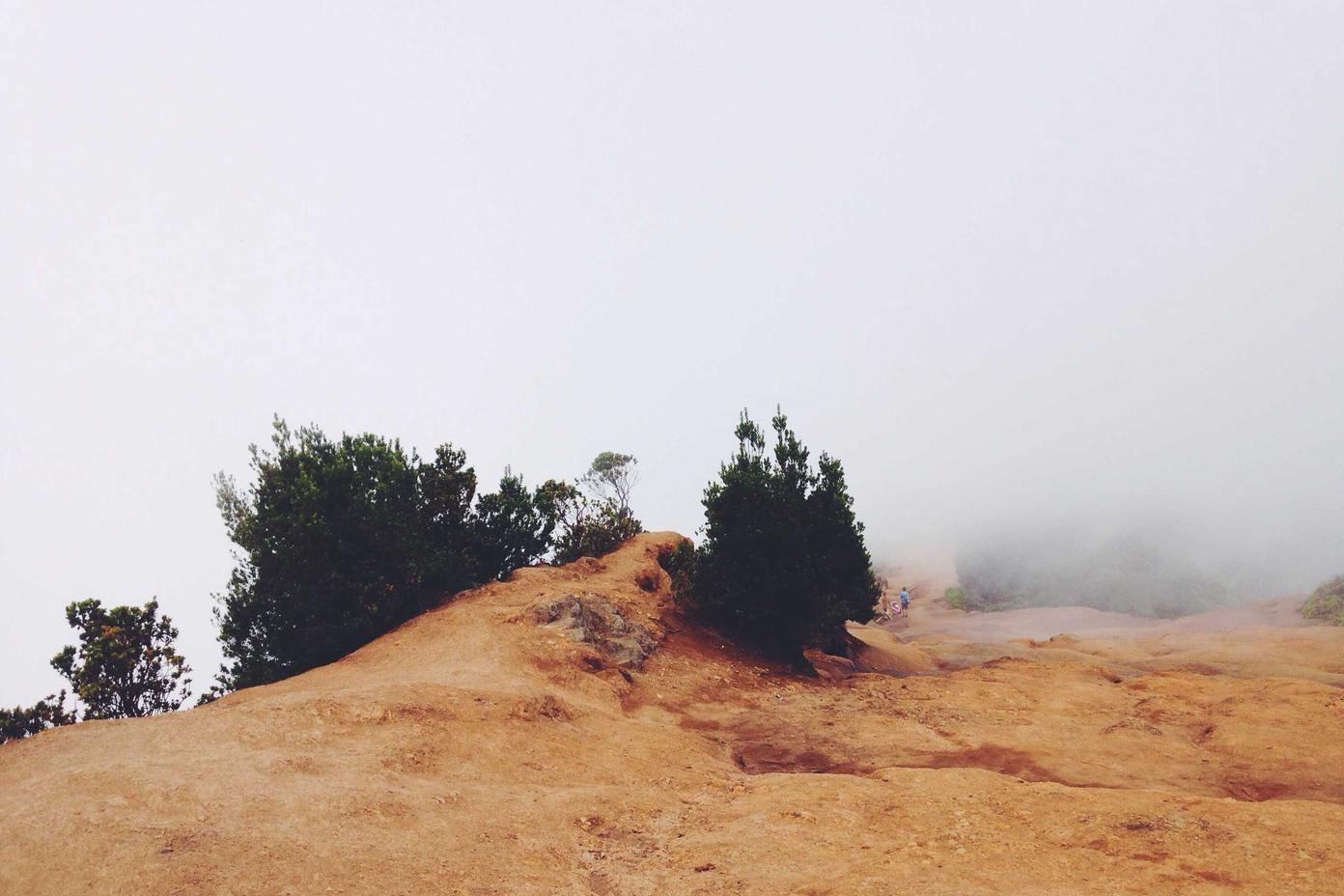 Voluptas quidem explicabo