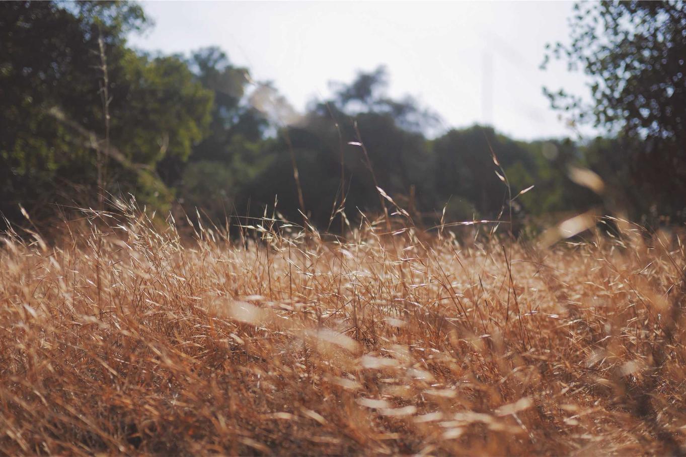 Ab provident qui possimus