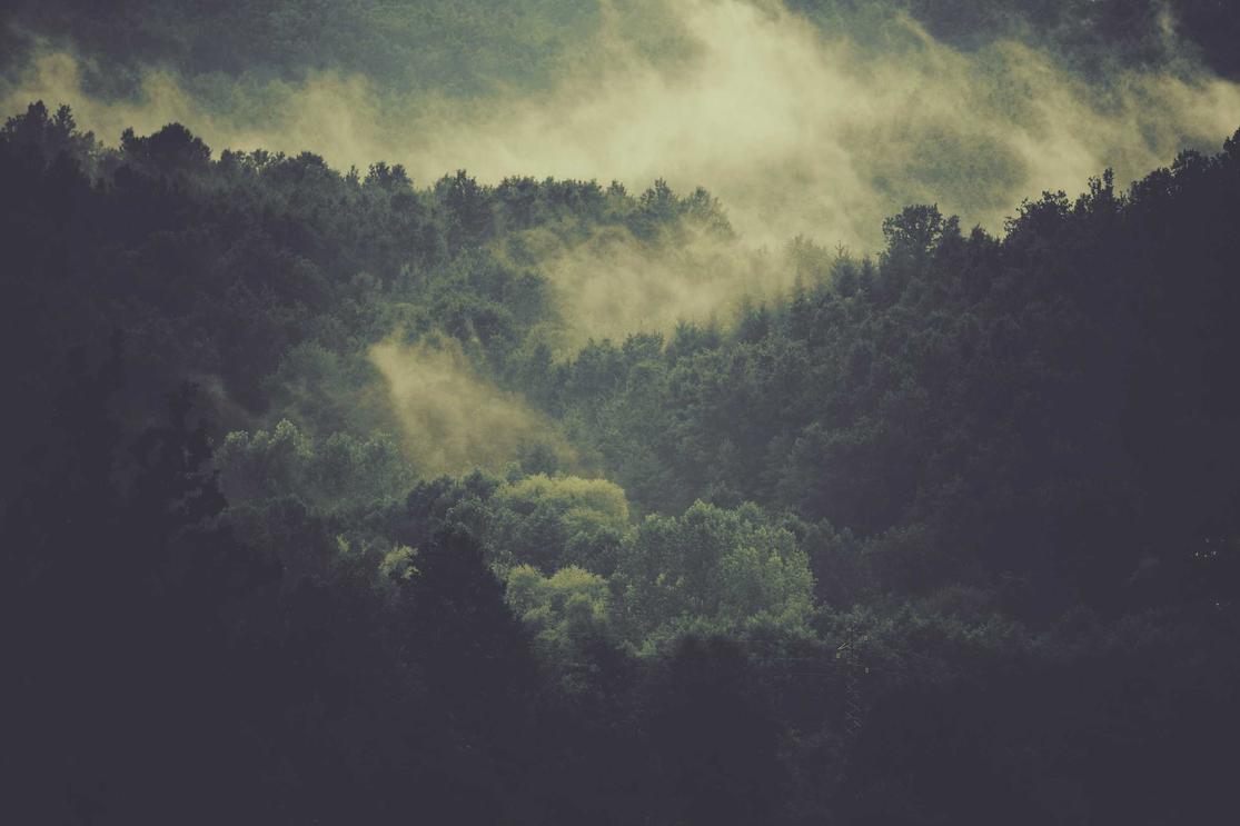 Fugit explicabo rerum soluta odio recusandae