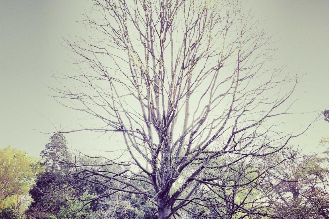 In quibusdam tenetur qui dolorem quaerat in sint aut rerum voluptate