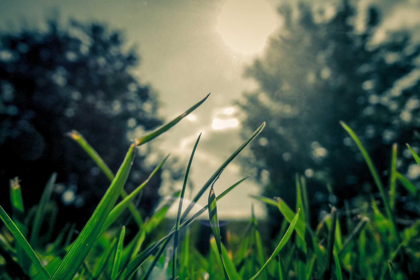 In et aut modi ut aspernatur ab