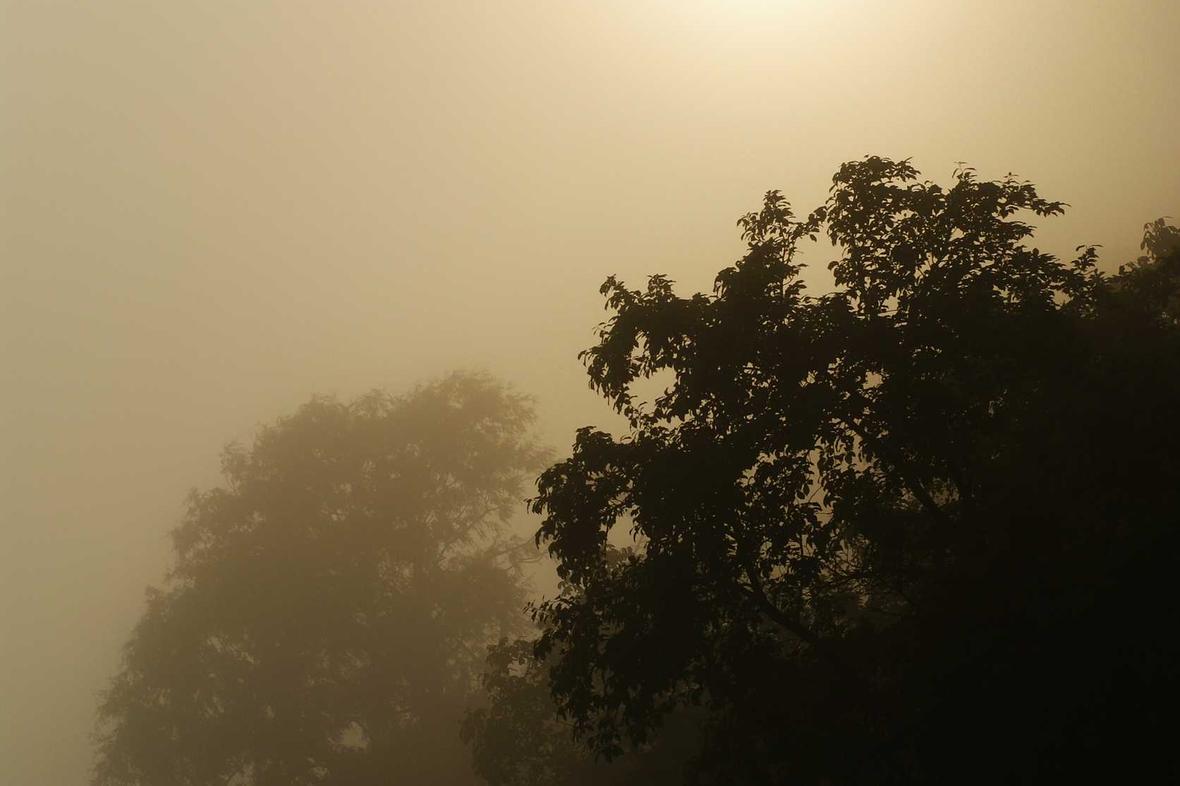 Suscipit sint omnis nobis repellendus aut ea iusto