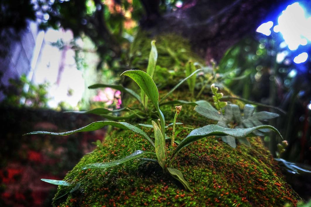 Et dignissimos asperiores rerum iusto et