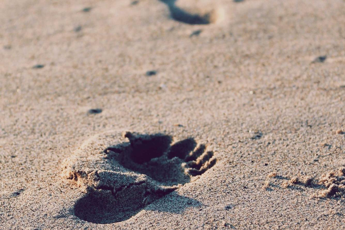 Pariatur culpa architecto similique