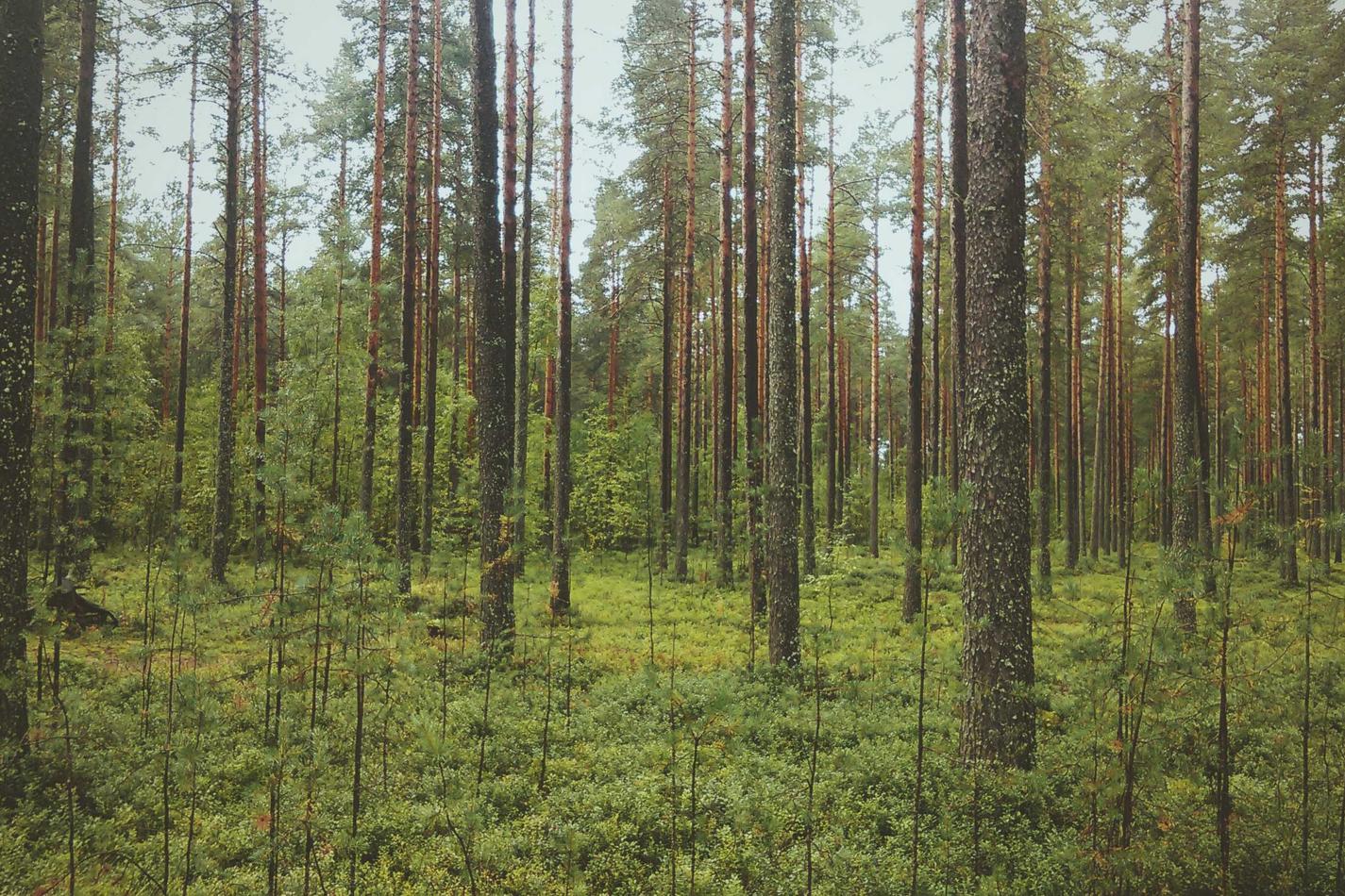 Id eos dolor qui repellendus harum