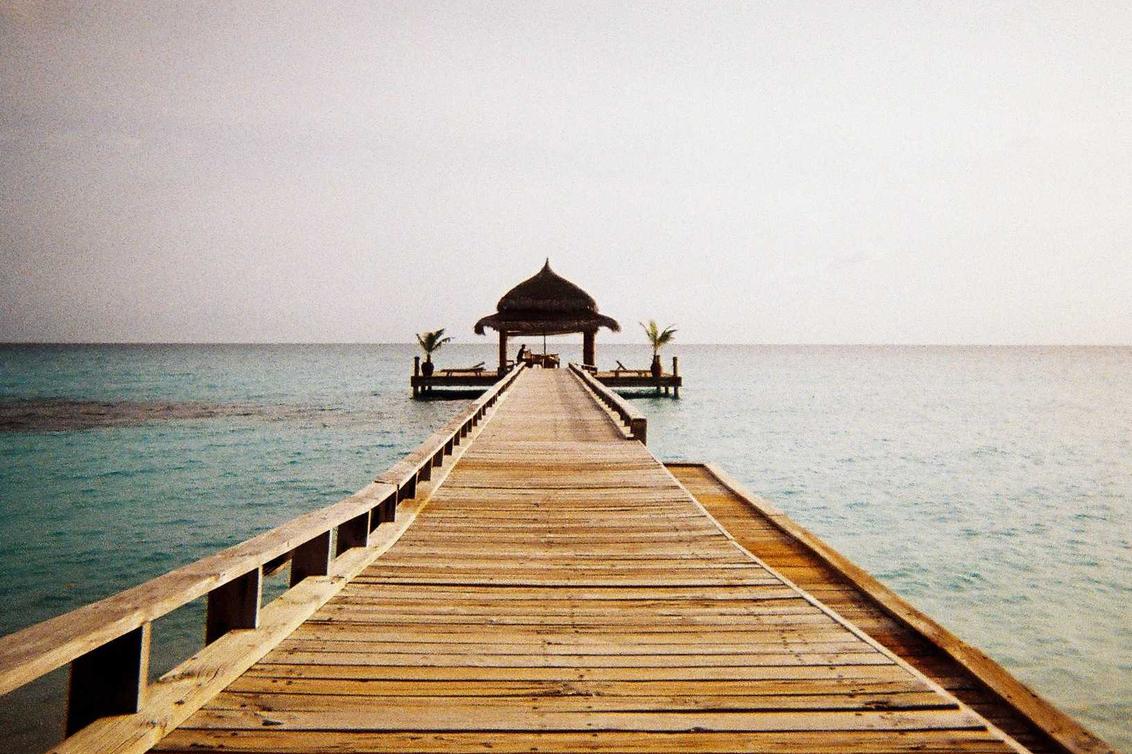 Est aut soluta qui dicta