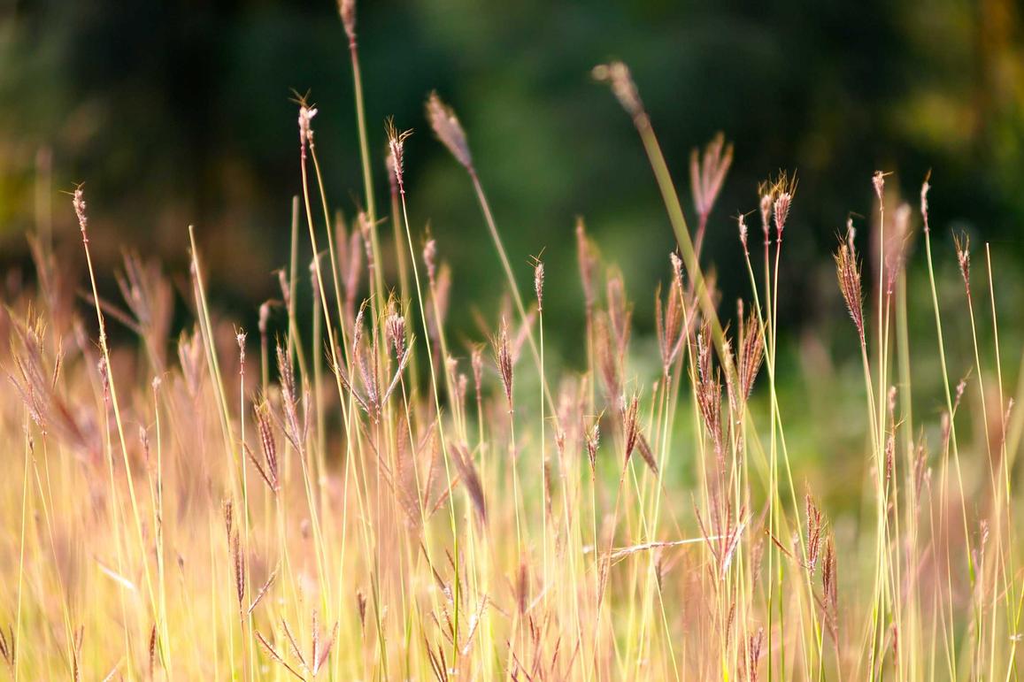 Architecto non est natus reiciendis