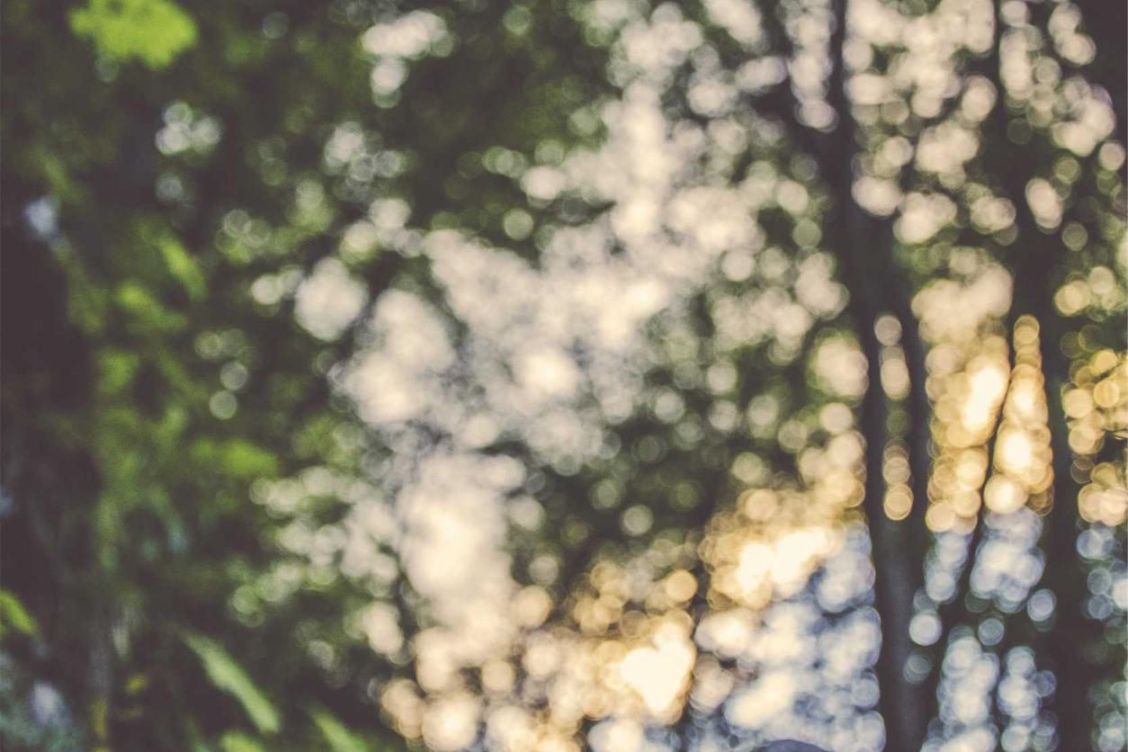 Aliquam consectetur vero cumque blanditiis