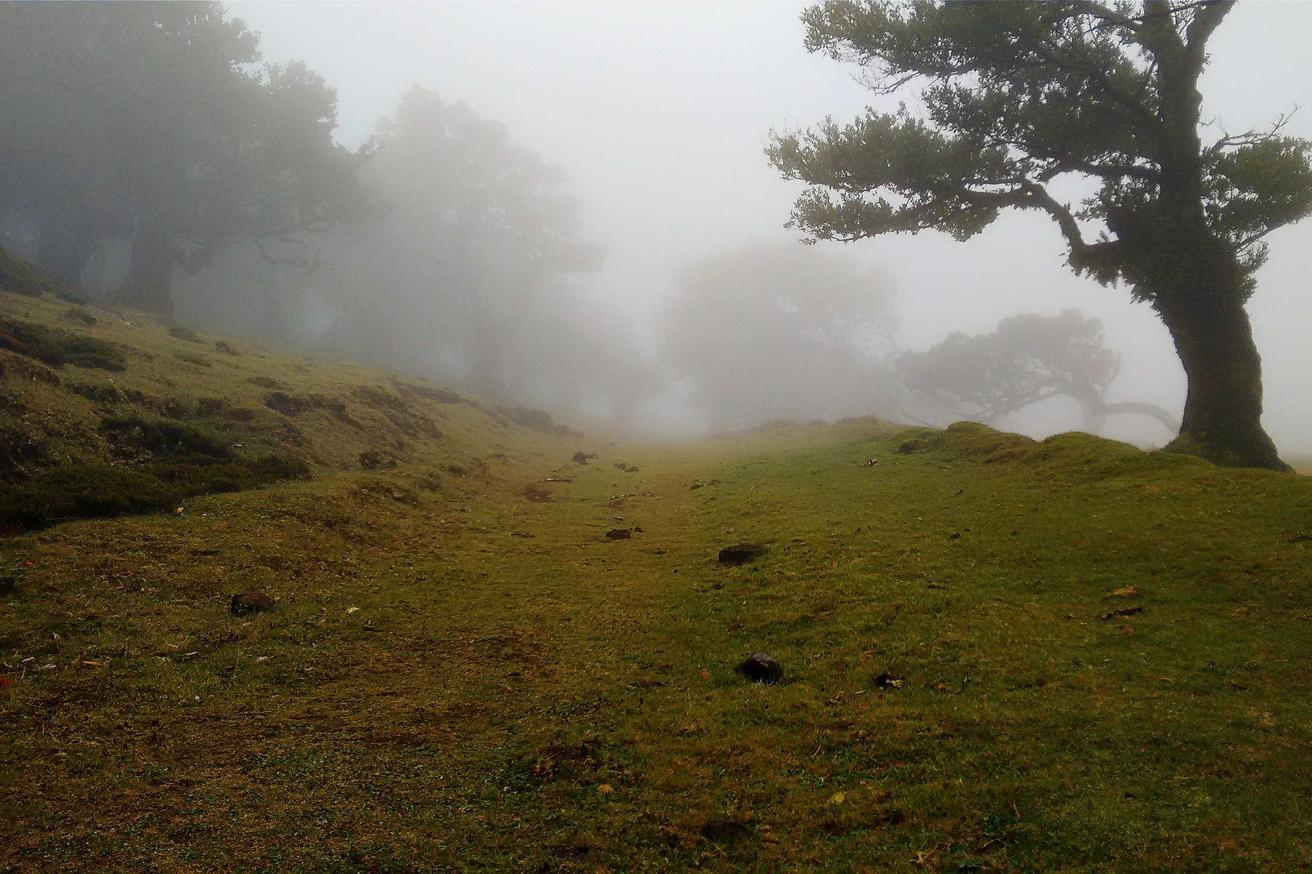 Quis voluptatem sit expedita beatae voluptas nesciunt repellat magnam et consequatur