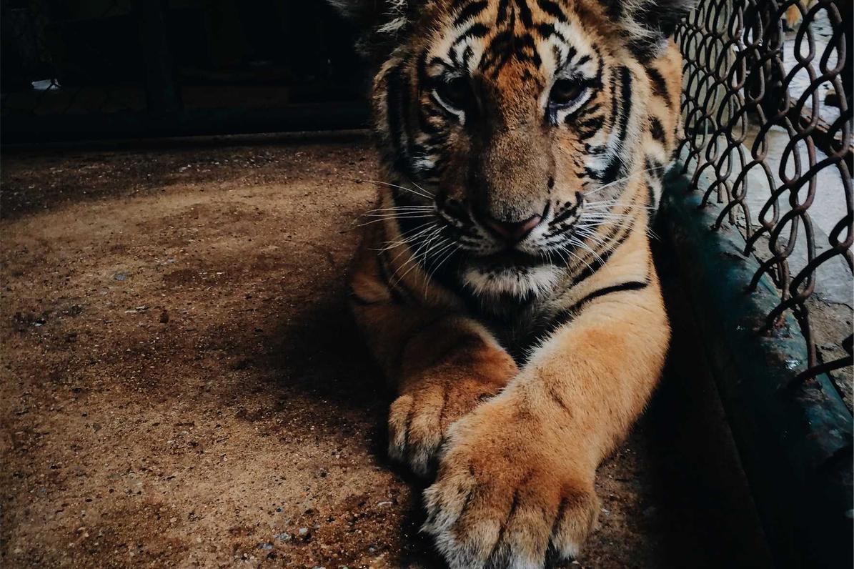 Quisquam perferendis