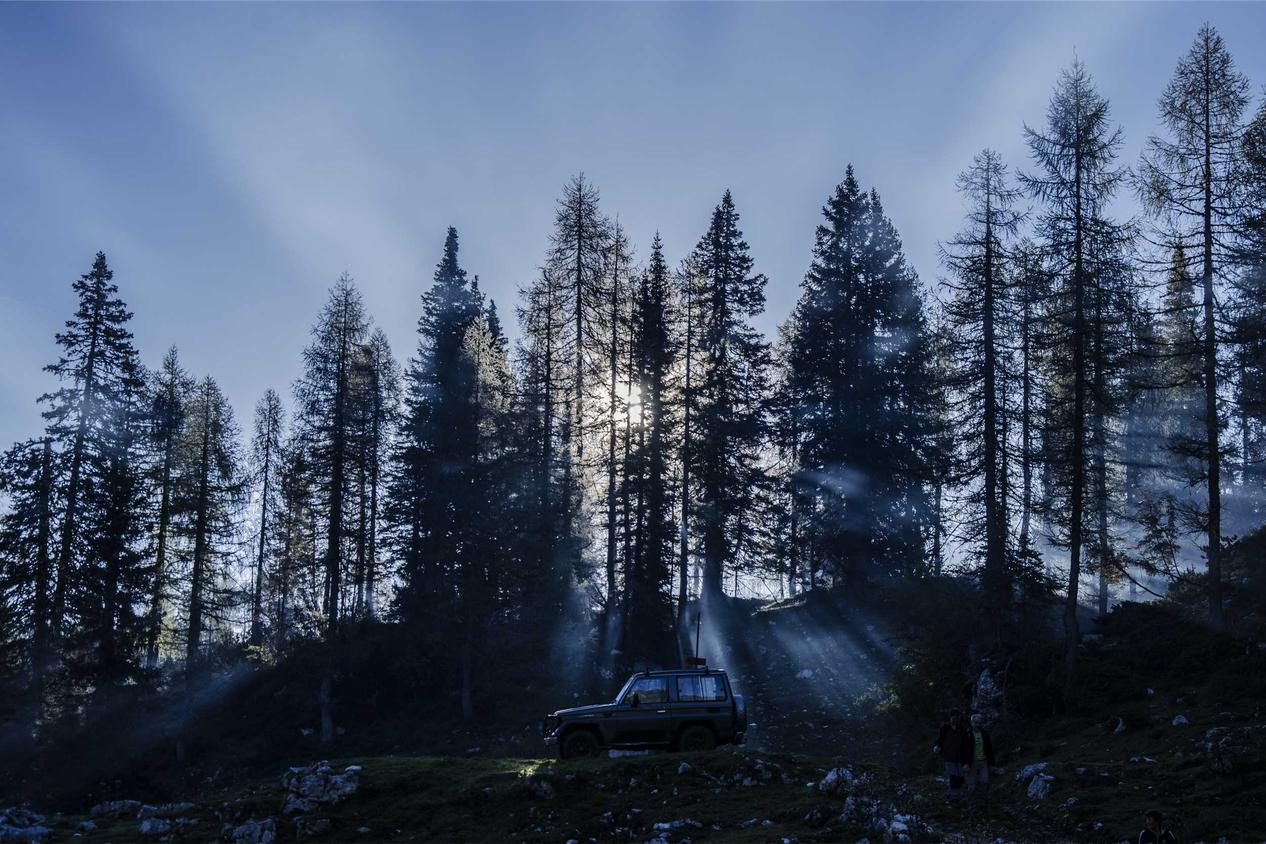 Vel provident voluptatum dolor